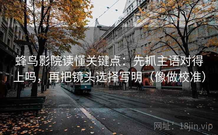 蜂鸟影院读懂关键点：先抓主语对得上吗，再把镜头选择写明（像做校准）